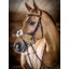 LeMieux Kudos Soft Leather Grackle Bridle - Havana