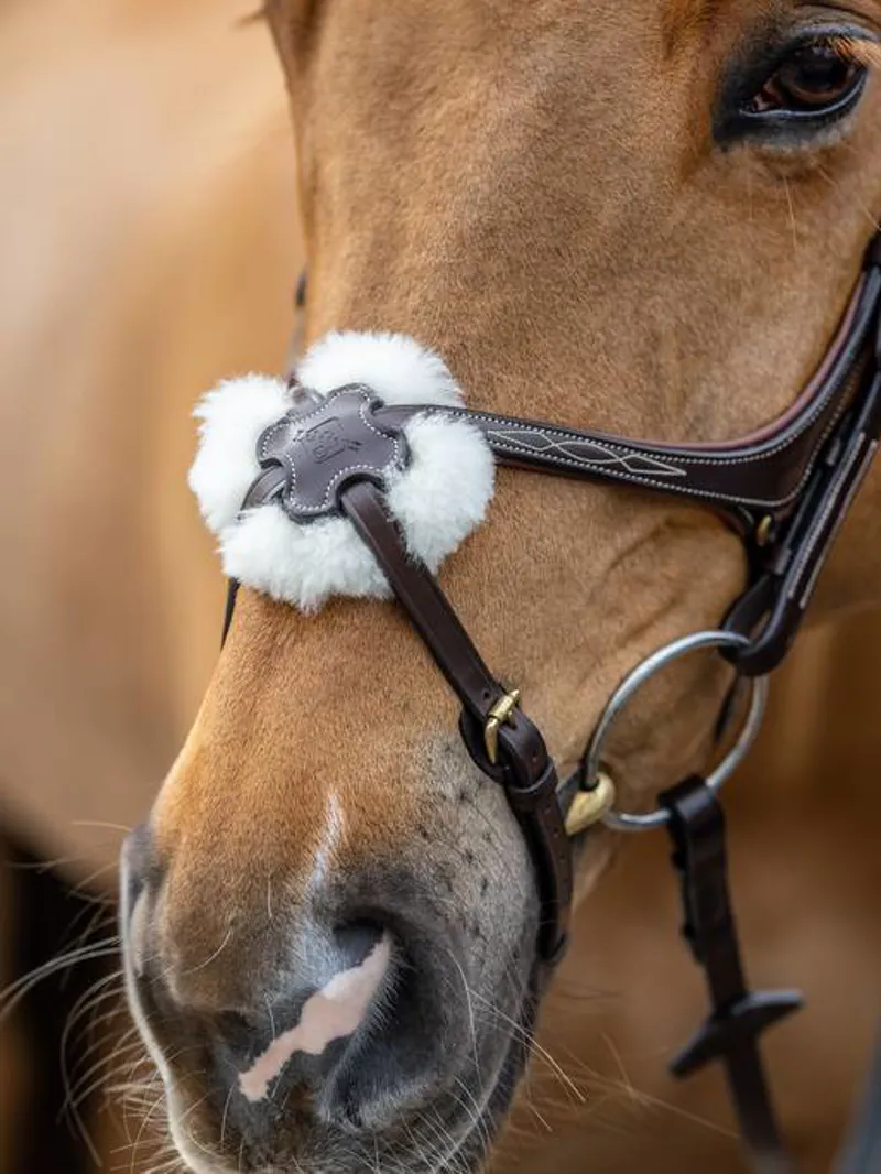 LeMieux Kudos Soft Leather Grackle Bridle - Havana-2