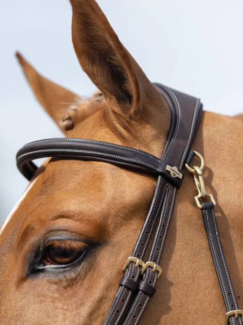 LeMieux Kudos Leather Work Bridle with Clip Cheeks - Havana-2