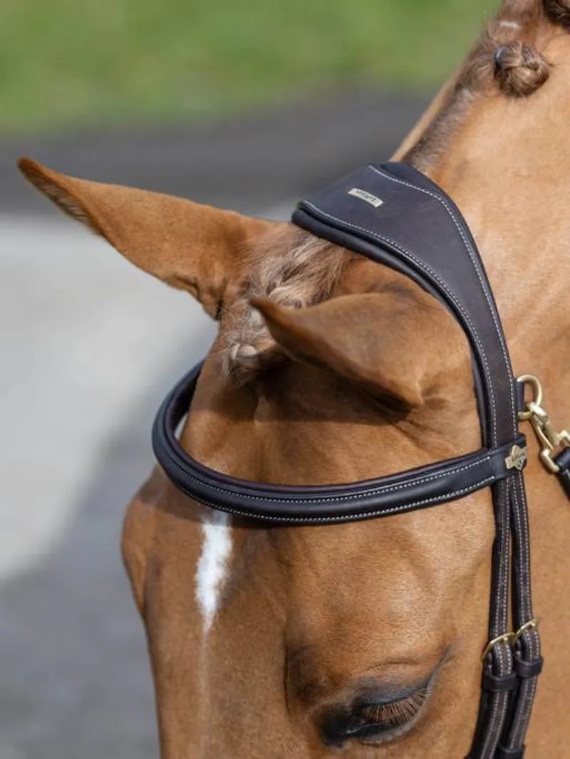 LeMieux Kudos Leather Work Bridle with Clip Cheeks - Havana-3