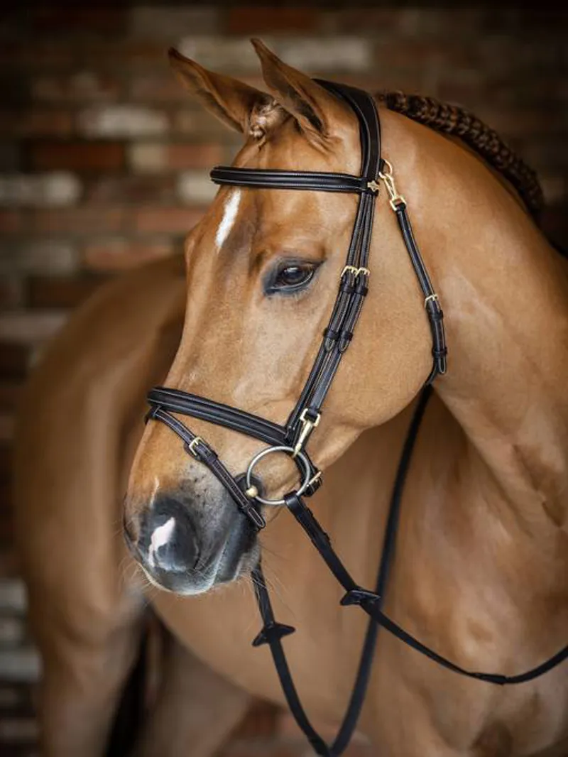 LeMieux Kudos Leather Work Bridle with Clip Cheeks - Havana-1