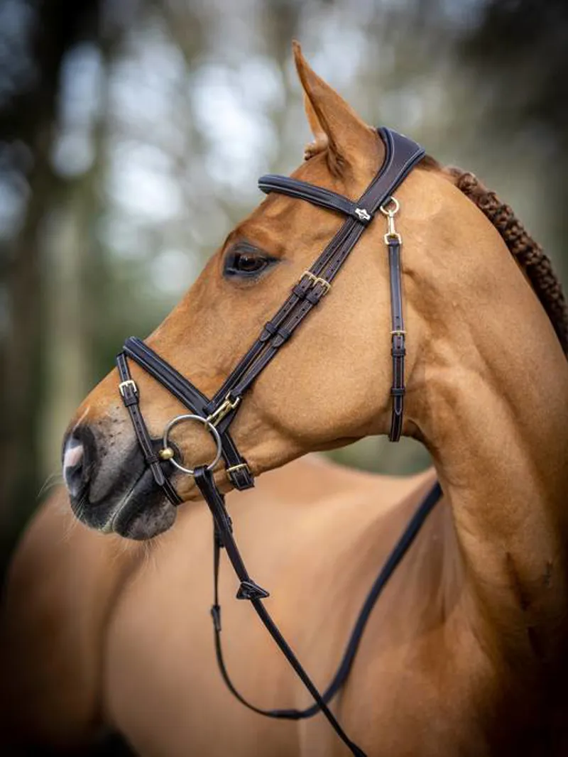 LeMieux Kudos Leather Work Bridle with Clip Cheeks - Havana