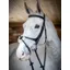 LeMieux Kudos Soft Leather Grackle Bridle - Black