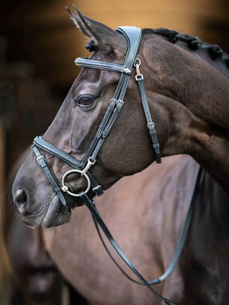 LeMieux Kudos Leather Work Bridle with Clip Cheeks - Black-1