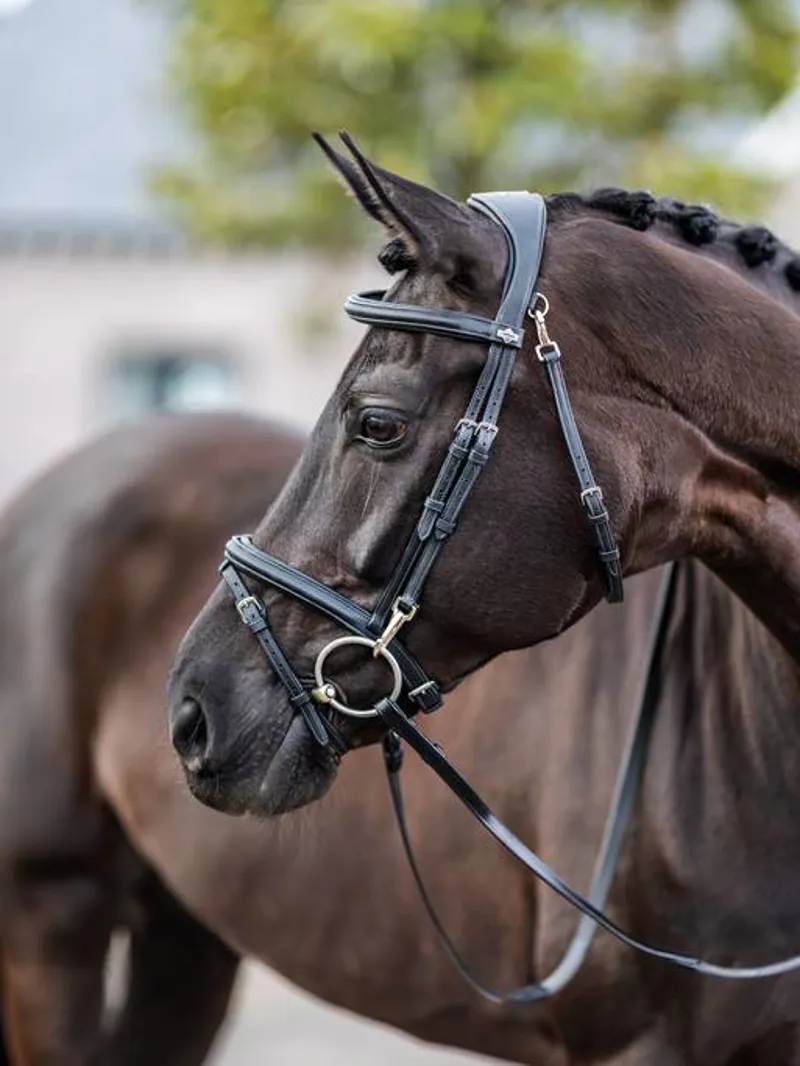 LeMieux Kudos Leather Work Bridle with Clip Cheeks - Black