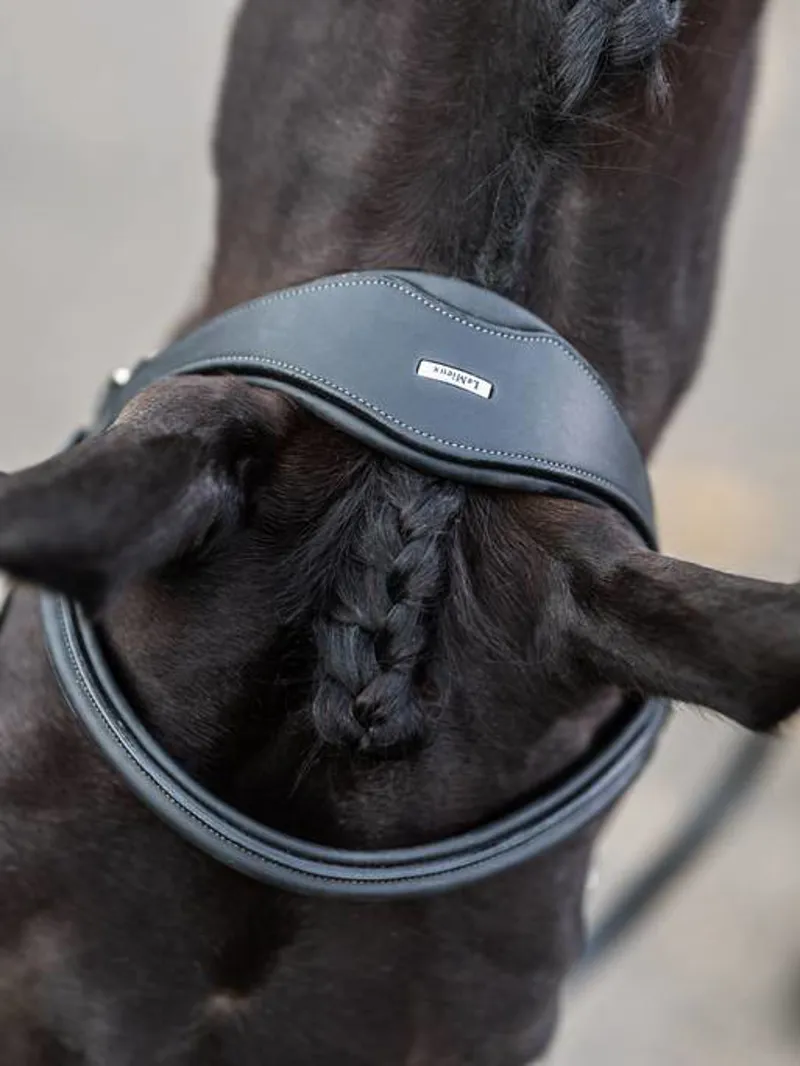LeMieux Kudos Leather Work Bridle with Clip Cheeks - Black-2