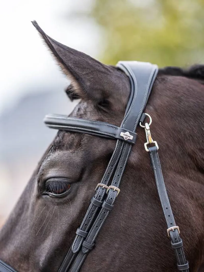 LeMieux Kudos Leather Work Bridle with Clip Cheeks - Black-3