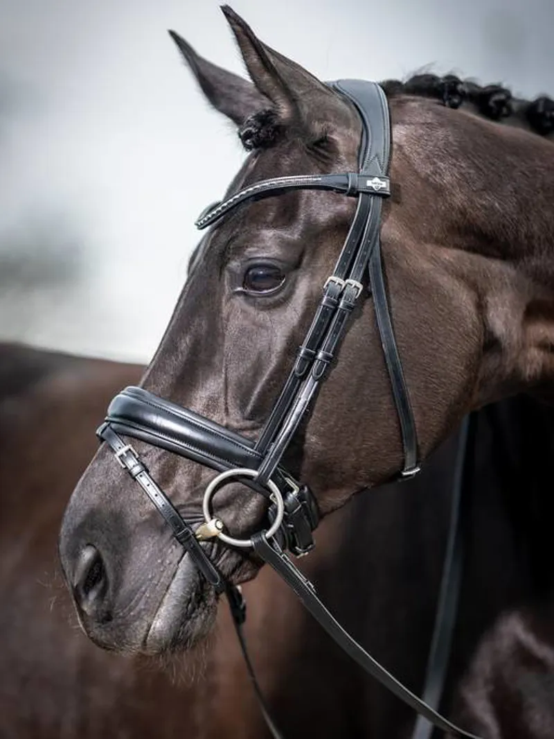 LeMieux Kudos Classic Dressage Bridle with Anatomic Clincher Browband- Black-1