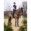 LeMieux Self-Cool Close Contact Square - Navy