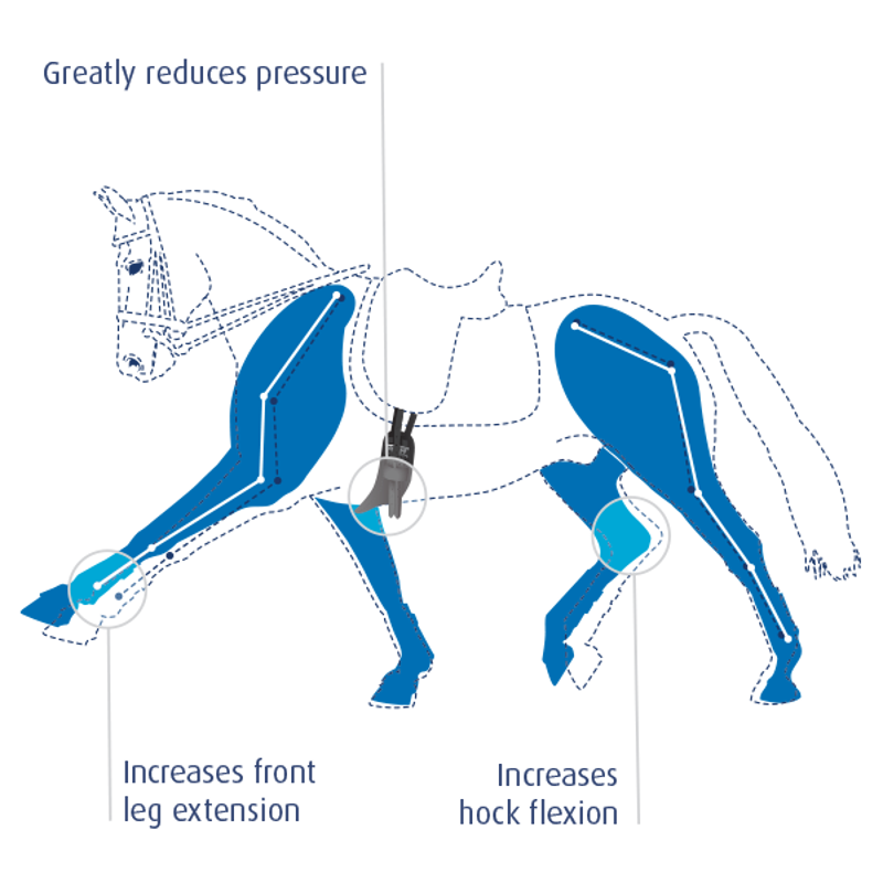 Prolite Girth Narrow - Brown Short-4