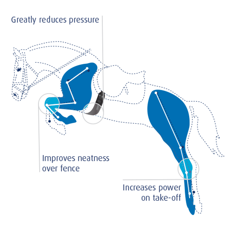 Prolite Girth Narrow - Brown Short-5