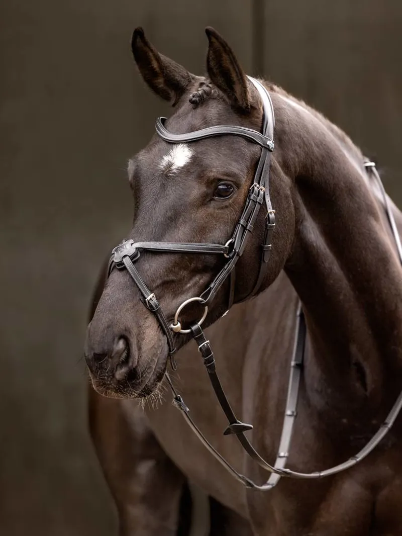 LeMieux Arika Grackle Bridle with Removable Wool Pad - Black/Silver