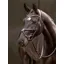 LeMieux Arika Grackle Bridle with Removable Wool Pad - Black/Silver