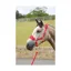 Supreme Products Dotty Fleece Head Collar and Lead Rope - - Magical Mulberry