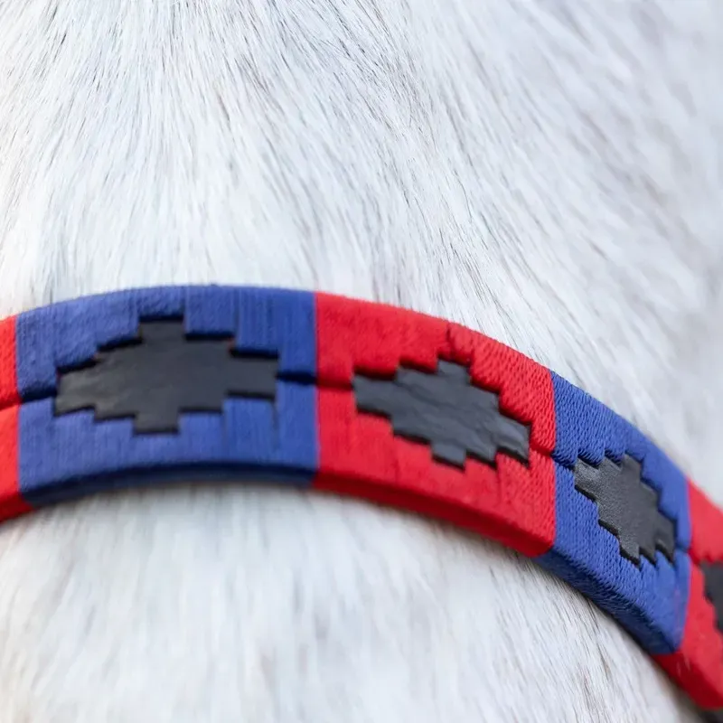 Hy Equestrian Polo Leather Head Collar in Navy/Red/White-2