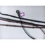 English Conti Reins - Black