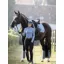 LeMieux Suede Dressage Square - Ice Blue