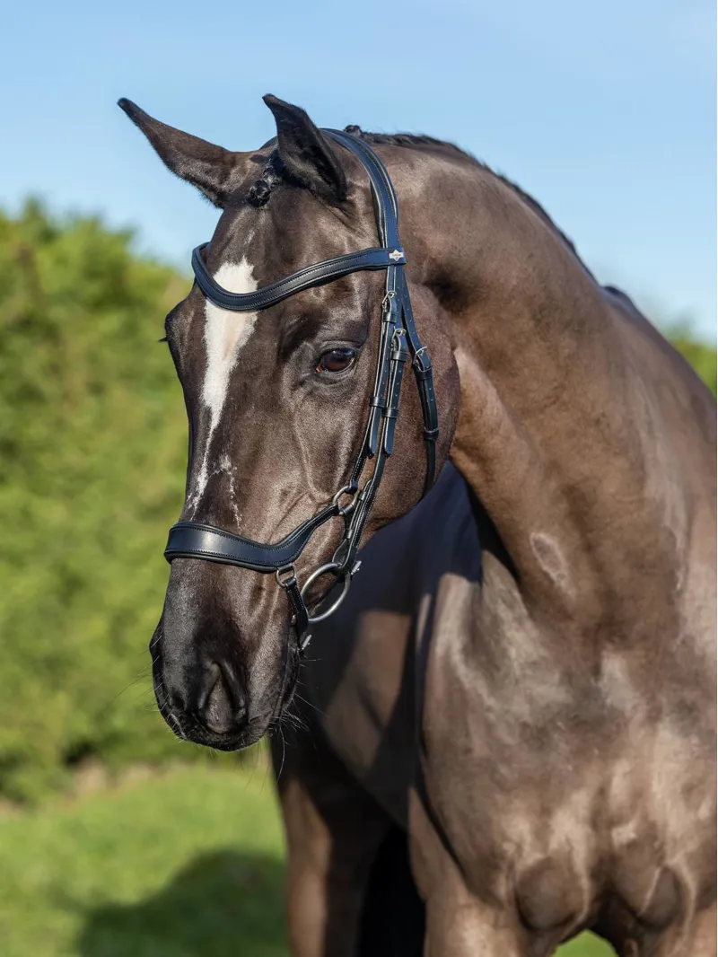 LeMieux Arika Leather Anatomic Drop Bridle - Black