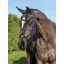 LeMieux Arika Leather Anatomic Drop Bridle - Black