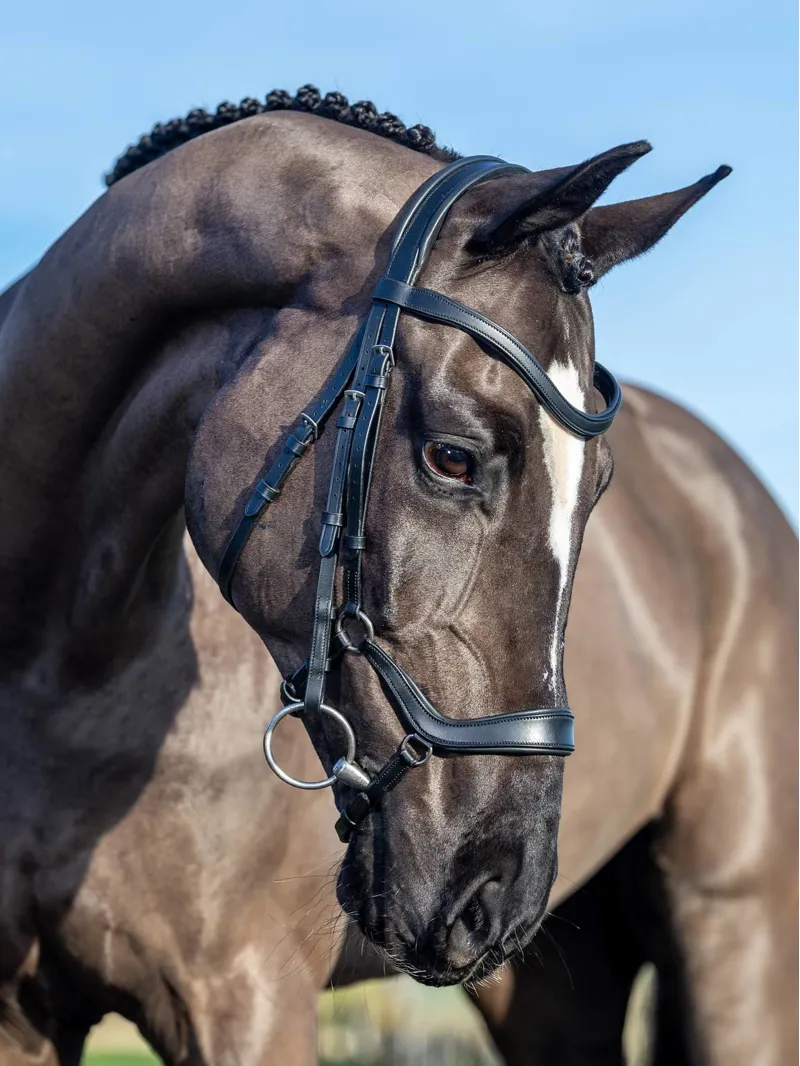 LeMieux Arika Leather Anatomic Drop Bridle - Black-4
