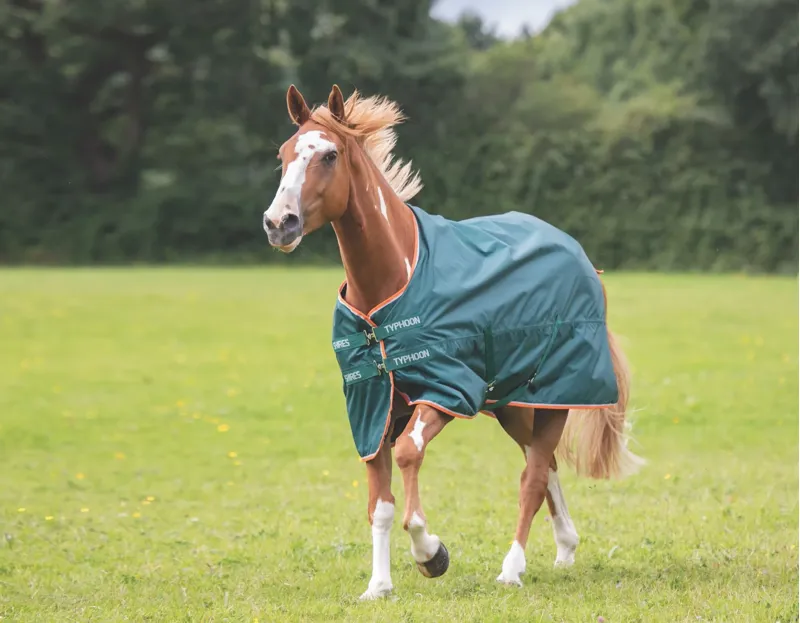 Shires Typhoon Lite Turnout Rug -Green