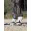 LeMieux Derby Fetlock Boot - Brown