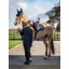 LeMieux Crystal Suede Close Contact Pad - Navy
