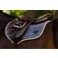 LeMieux Loire Classic Close Contact Square - Jay Blue