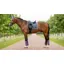 LeMieux Loire Classic Dressage Square - Jay Blue