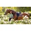 LeMieux Loire Classic Dressage Square - Walnut