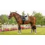 LeMieux Suede Dressage Square - Fern
