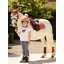 LeMieux Mini Fly Hood Apricot