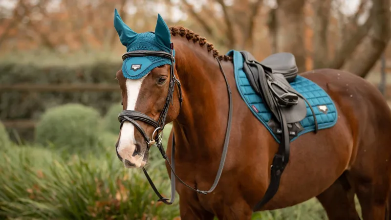 LeMieux Loire Fly Hood - Marine L