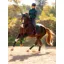 LeMieux Loire Classic Dressage Square - Spruce