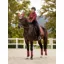 LeMieux Loire Classic Dressage Square - Orchid