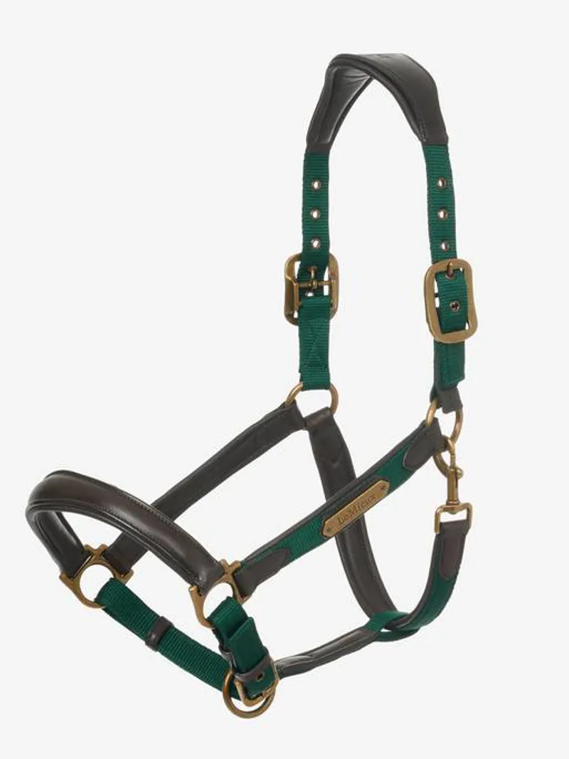 LeMieux Capella Head Collar - Spruce-1