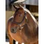 LeMieux Stitched Leather Headcollar - Brown