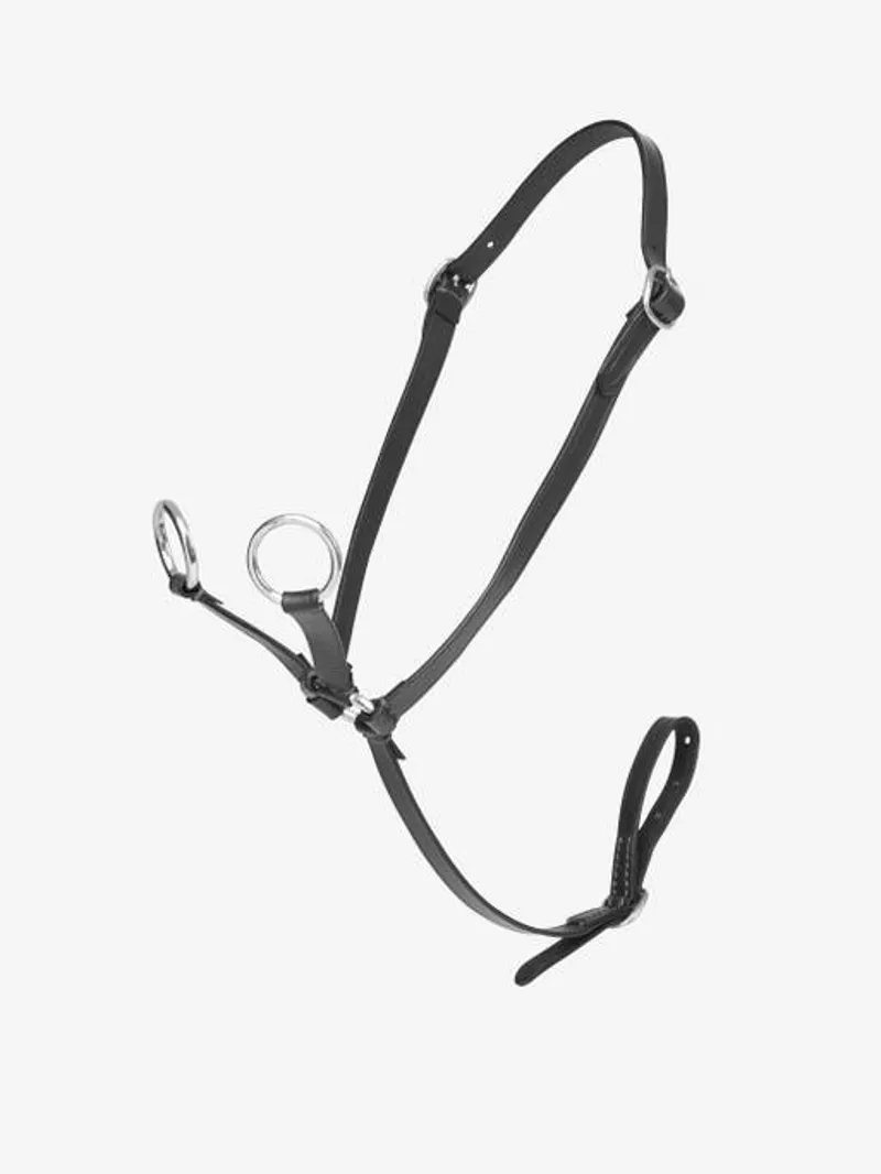 LeMieux Toy Pony Martingale - Black-2