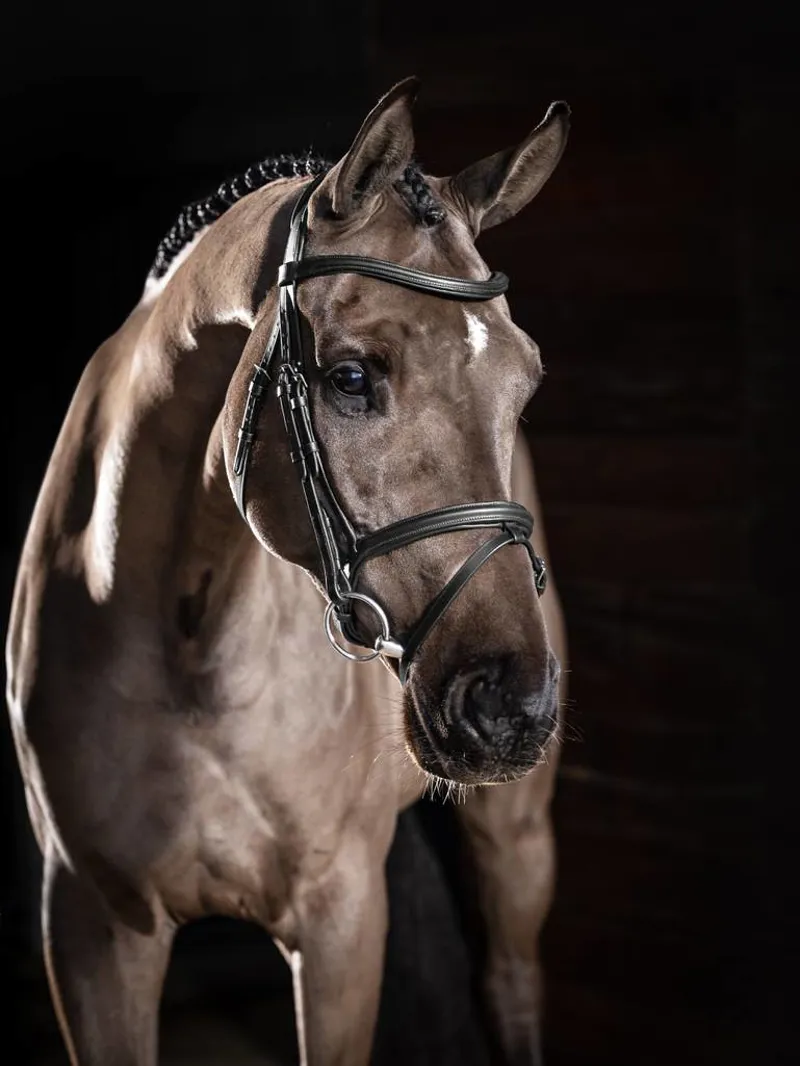 LeMieux Arika Leather Flash Bridle with Removable Flash - Black/Silver