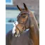 LeMieux Arika Grackle Bridle with Removable Wool Pad - Havana/Silver