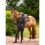 LeMieux Puissance Fly Hood - Brown