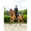 LeMieux Puissance Suede Close Contact Square - Brown