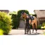 LeMieux Puissance Suede Close Contact Square - Black