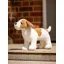 LeMieux Toy Puppy - Jack