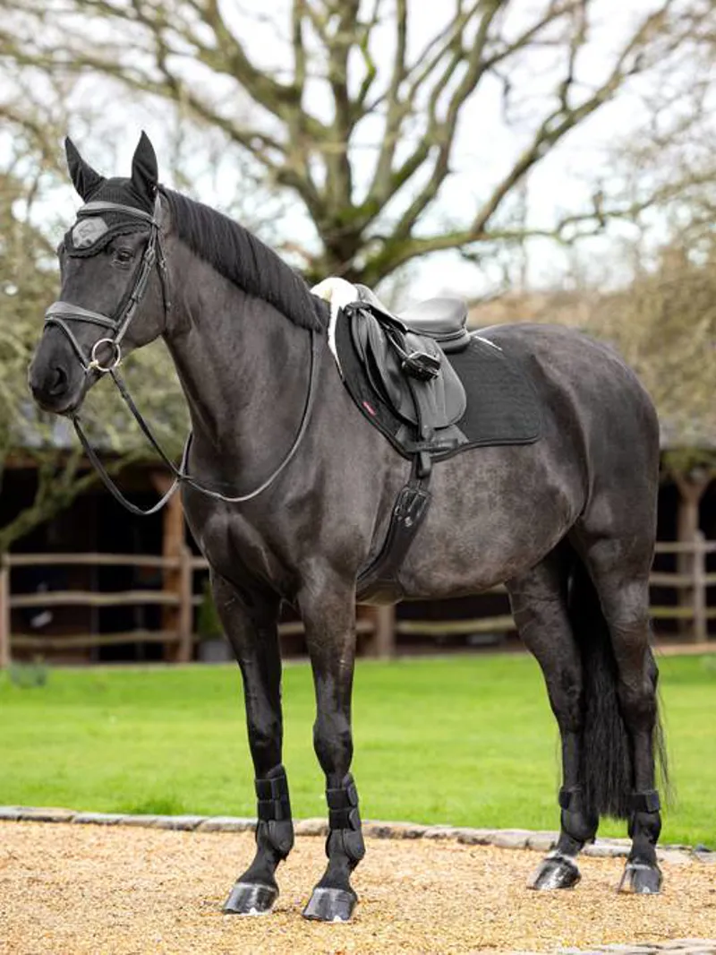 LeMieux Merino+ Half Lined Suede EuroJump Pad - Large - Black/Natural-1