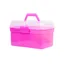 Lincoln Horse Care Accessories Grooming Kit in Pink