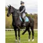 LeMieux Self-Cool Close Contact Square - Cool Blue