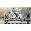 LeMieux Junior Pro GP/Jump Square - Burgundy