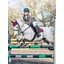 LeMieux Junior Pro Fly Hood - Burgundy