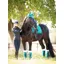 LeMieux Loire Classic Dressage Square - Peacock